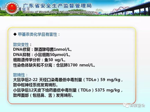 工貿(mào)企業(yè)危險化學(xué)品安全管理實務(wù)指南